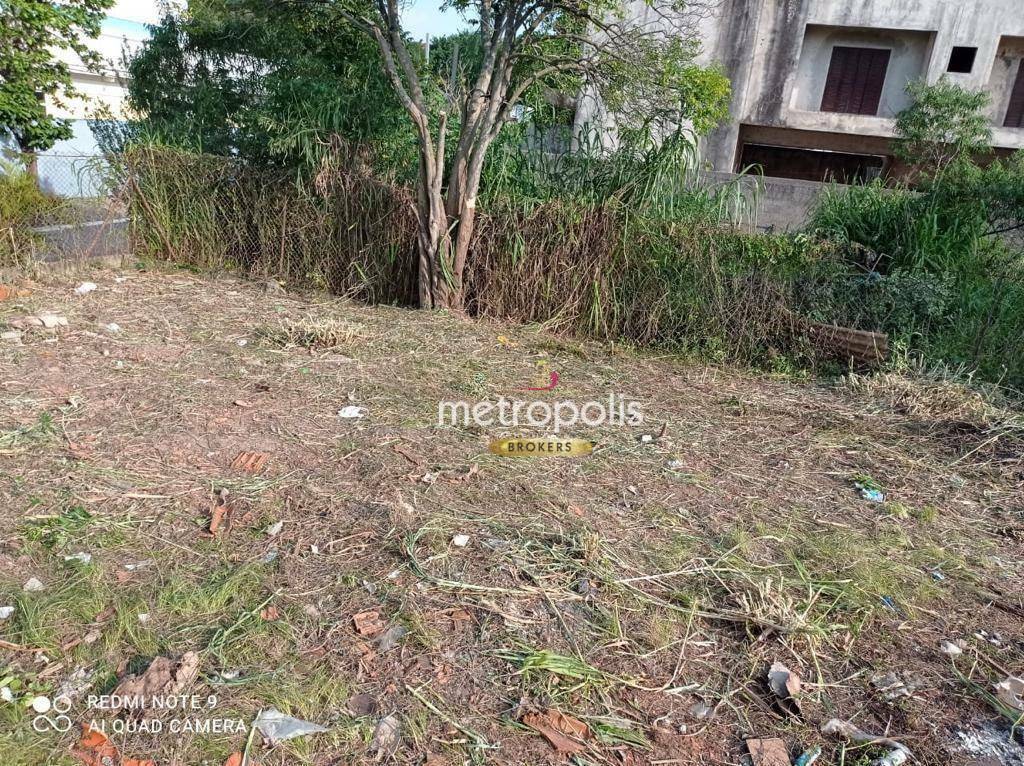 Terreno à venda e aluguel, 360M2 - Foto 3