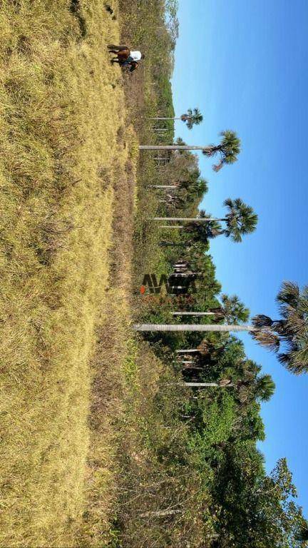 Fazenda à venda, 11567600M2 - Foto 16