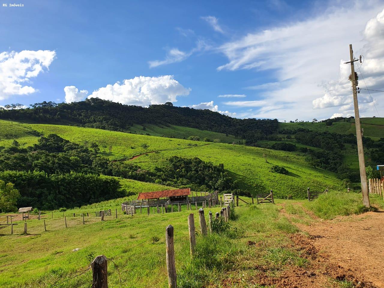 Fazenda à venda com 2 quartos, 220m² - Foto 5