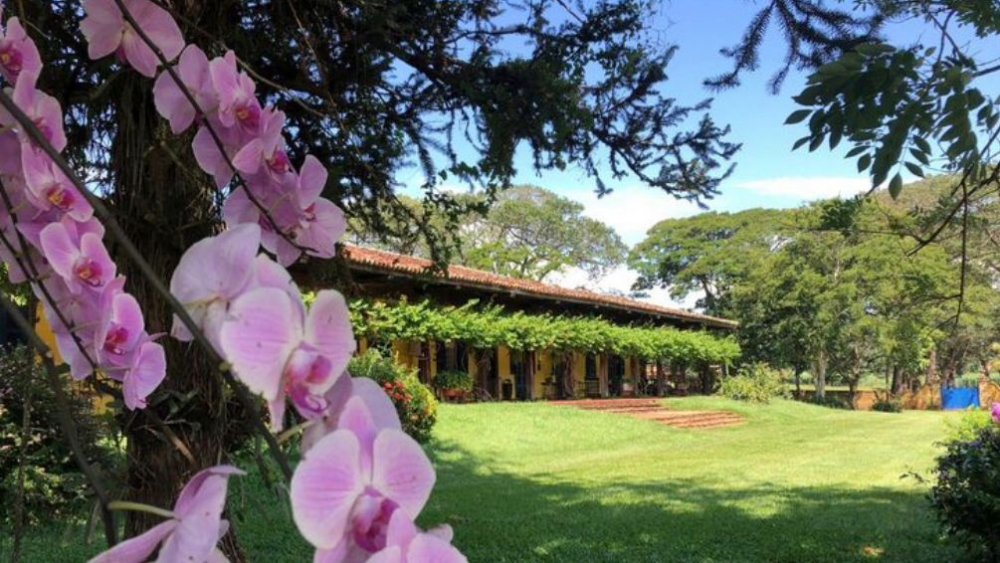 Fazenda à venda, 1872m² - Foto 9