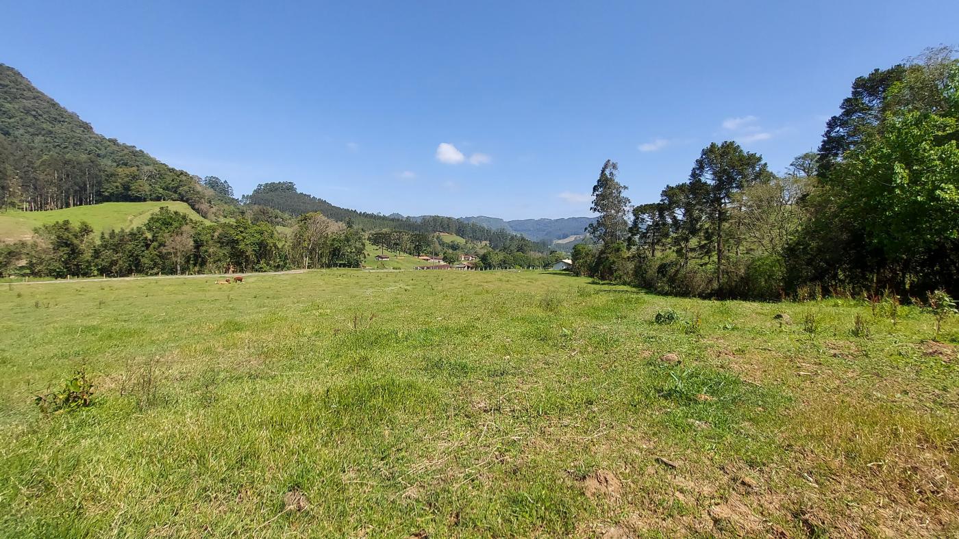 Fazenda à venda com 4 quartos, 101500m² - Foto 21