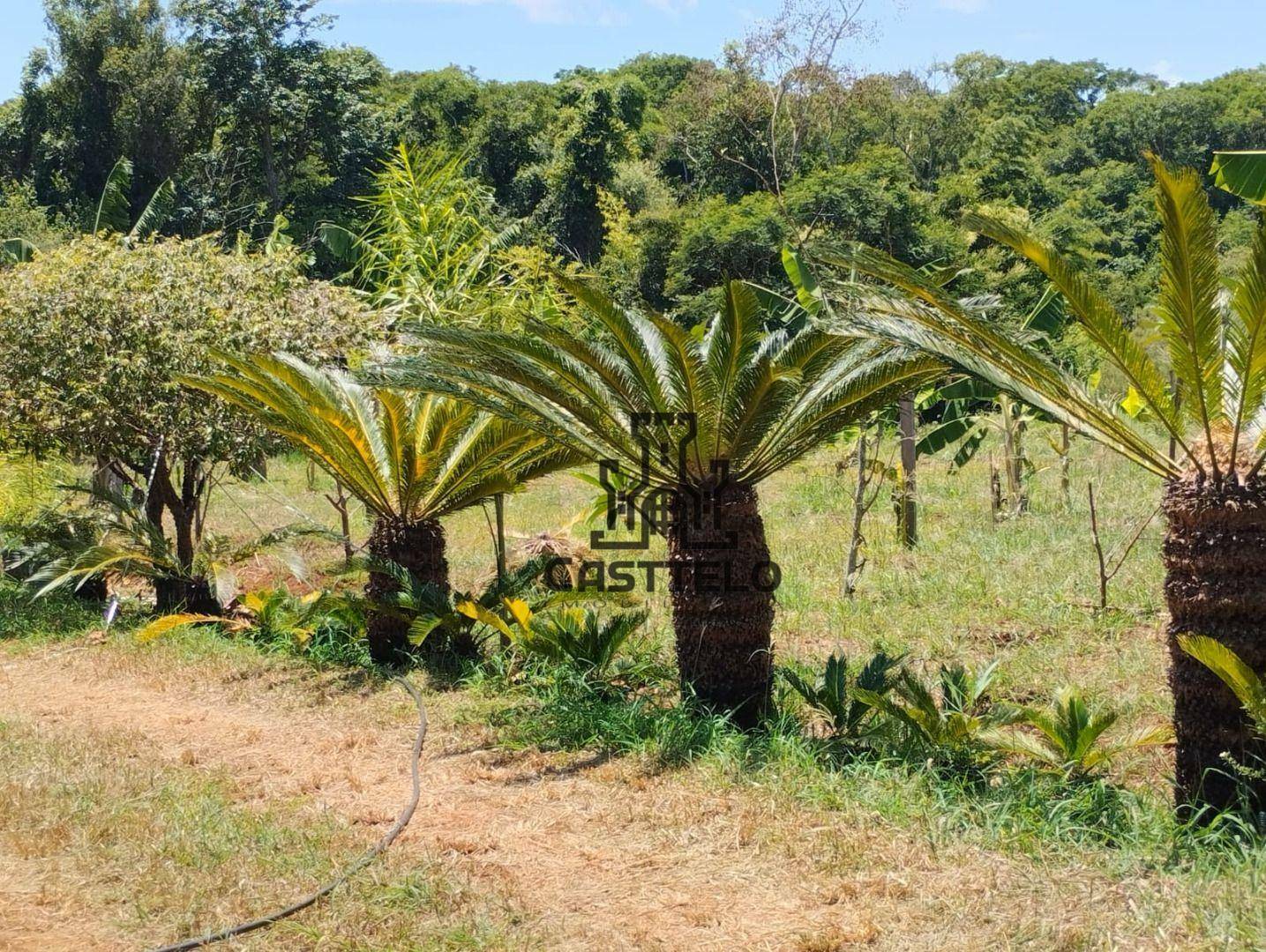 Chácara à venda com 3 quartos, 16720M2 - Foto 29