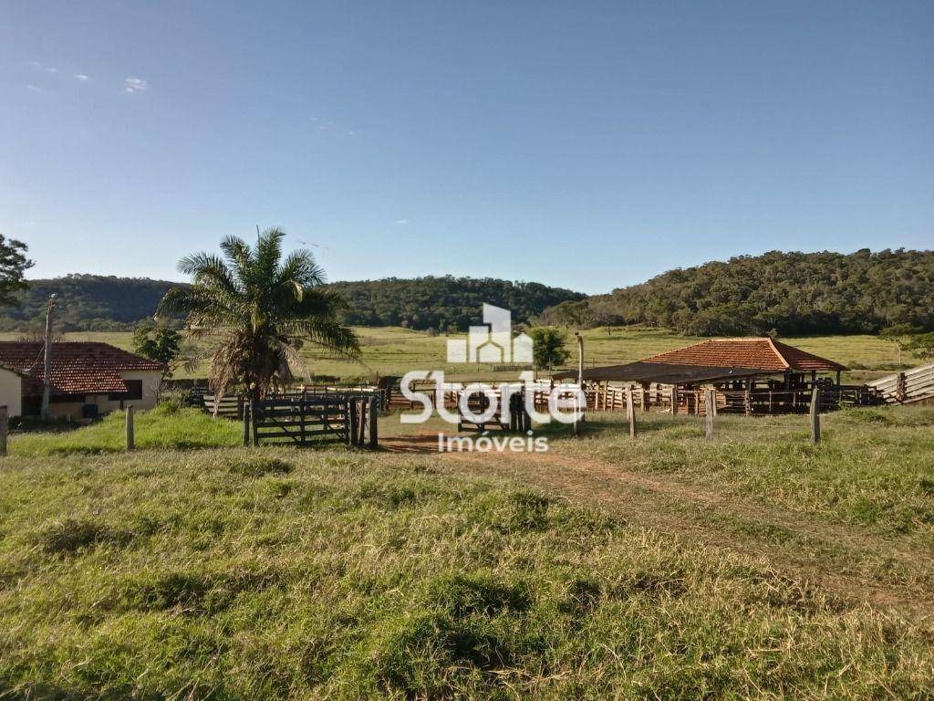 Fazenda à venda, 3242800M2 - Foto 28