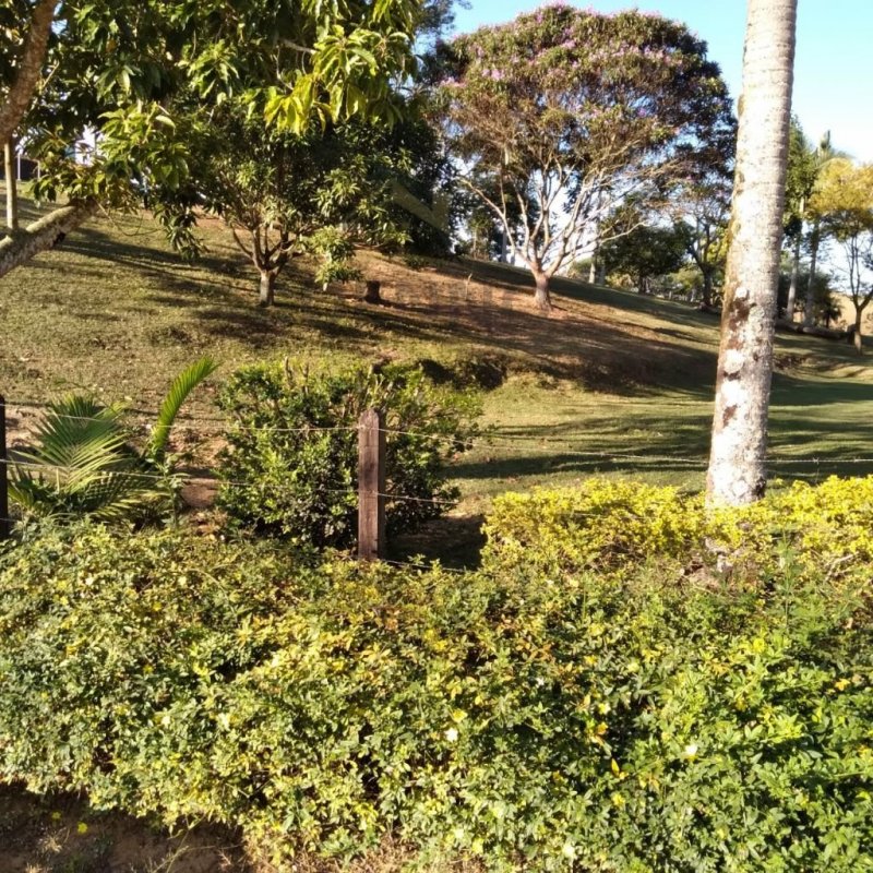 Fazenda à venda com 3 quartos, 250m² - Foto 19