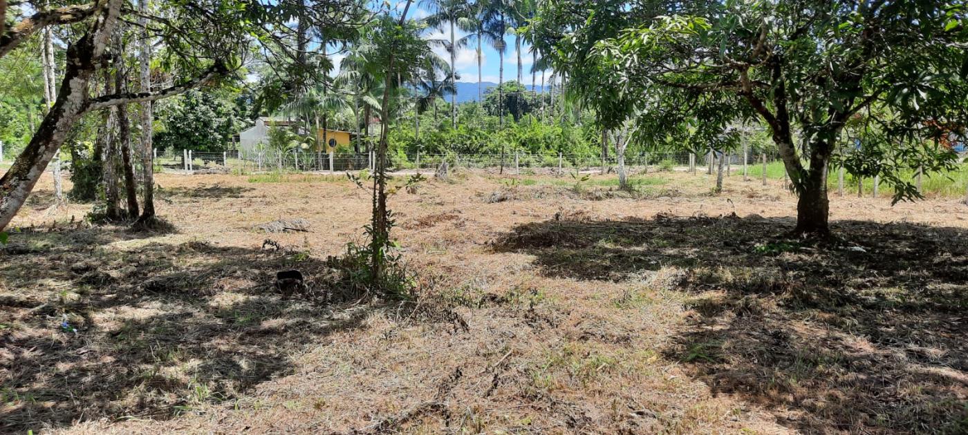 Fazenda à venda com 2 quartos, 3500m² - Foto 2