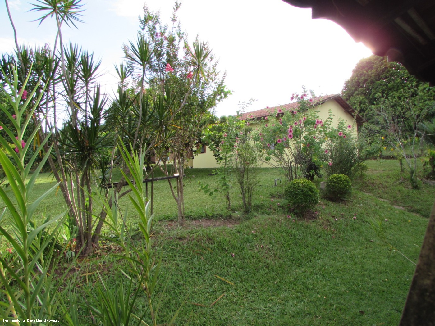 Chácara à venda com 6 quartos, 6000m² - Foto 31