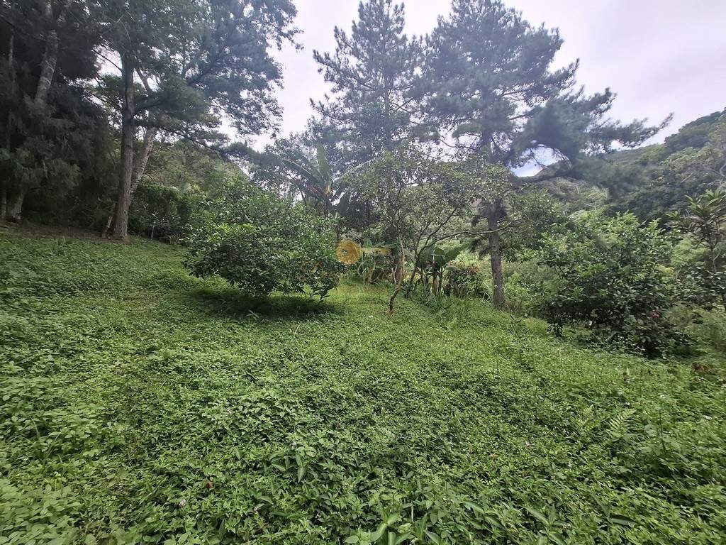 Terreno à venda, 216036m² - Foto 8