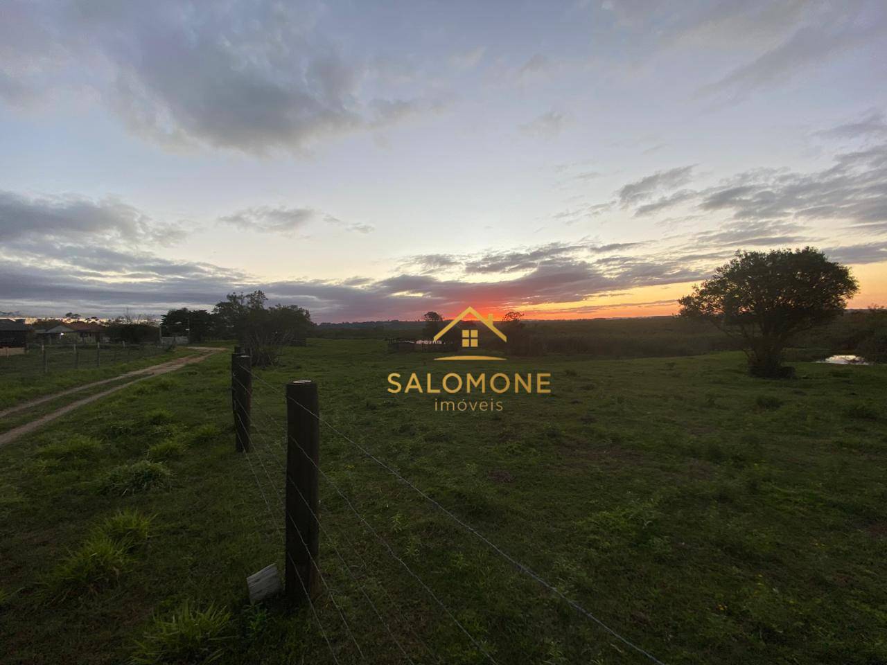 Sítio, 2 hectares - Foto 5