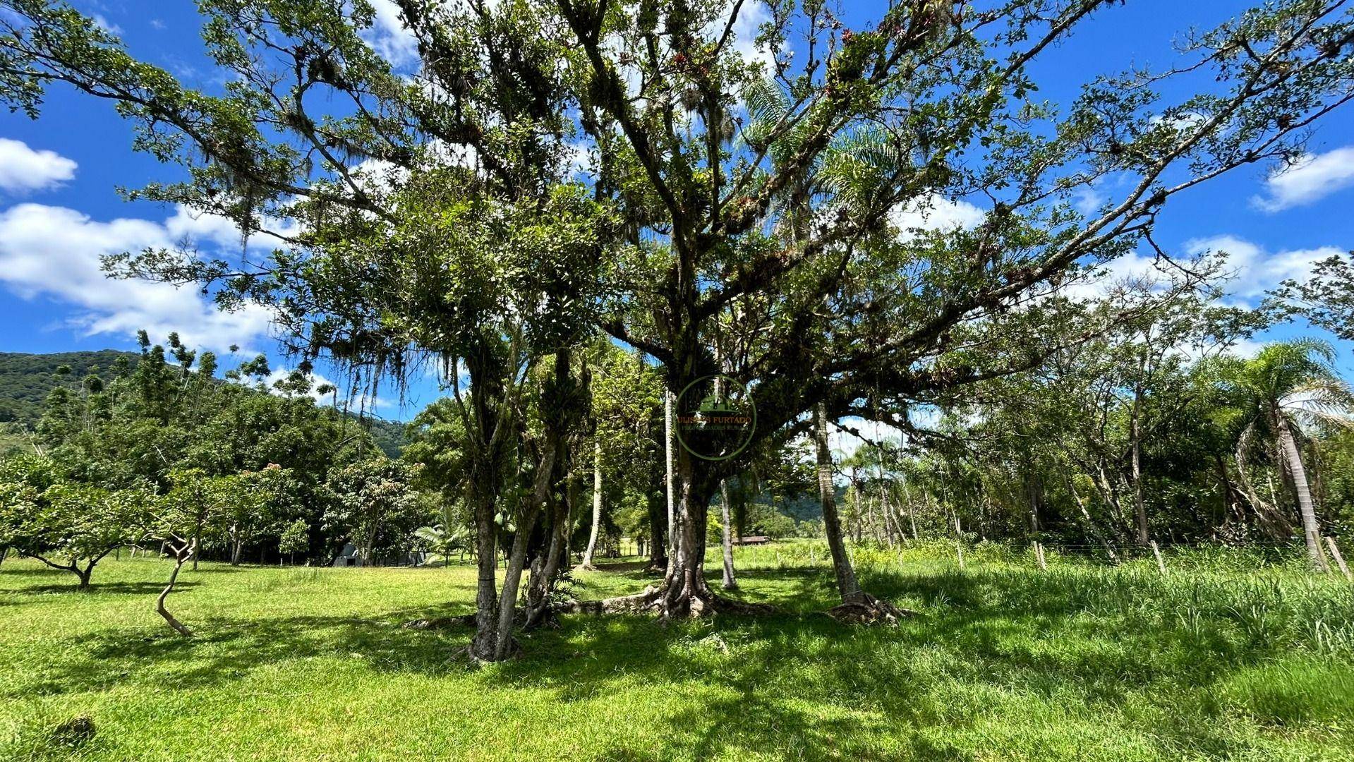 Chácara, 2 hectares - Foto 24