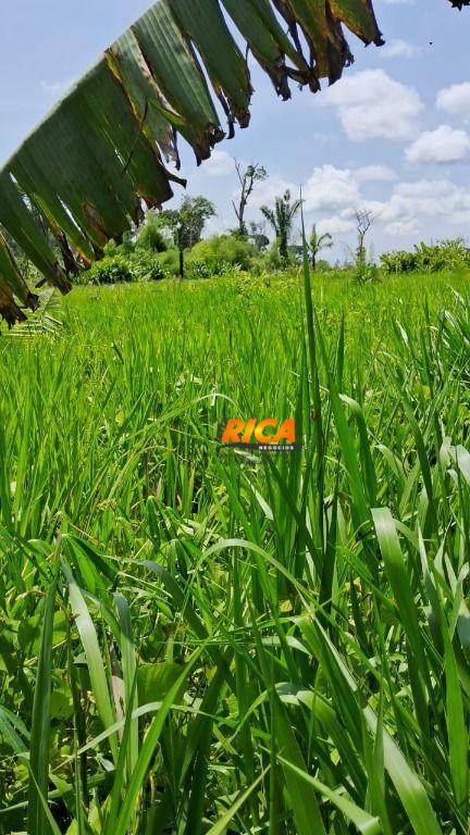 Sítio, 25 hectares - Foto 4