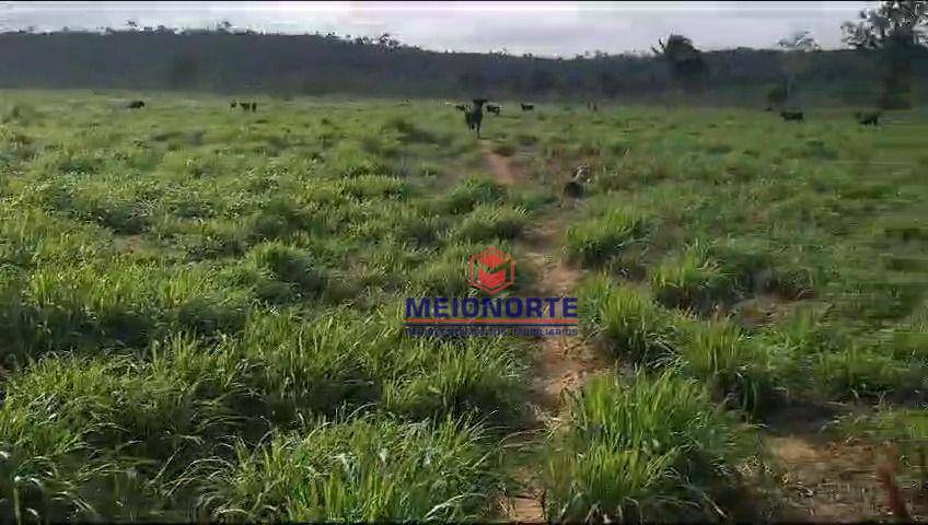 Fazenda à venda com 1 quarto, 10000M2 - Foto 5