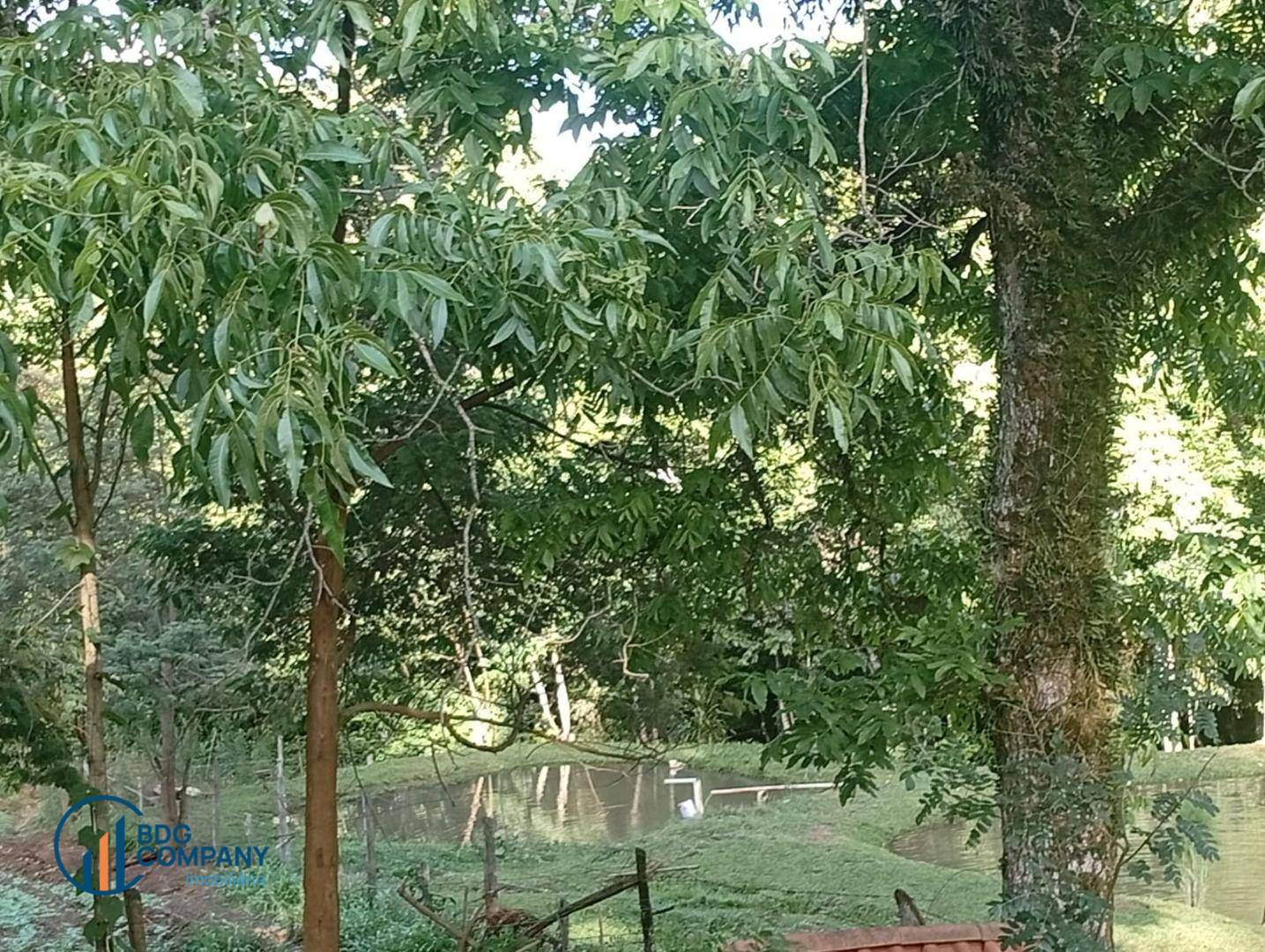 Chácara, 2 quartos, 5445 m² - Foto 12