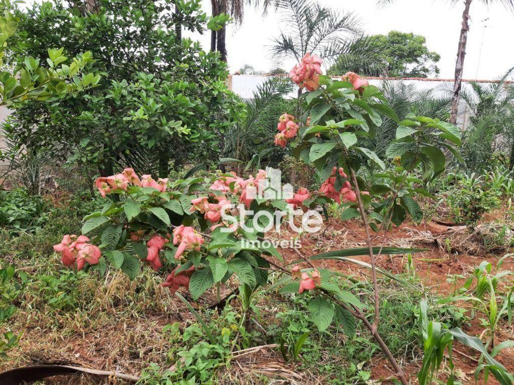 Chácara à venda, 1000M2 - Foto 14