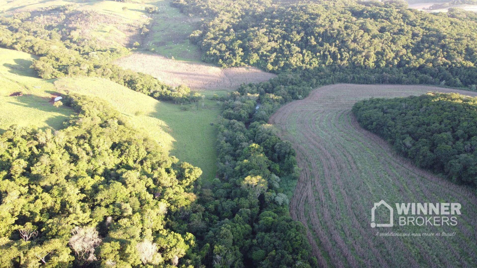 Fazenda à venda com 6 quartos, 600m² - Foto 4