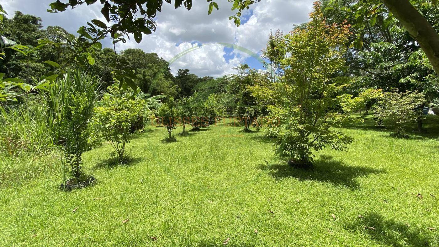 Chácara, 6000 m² - Foto 6