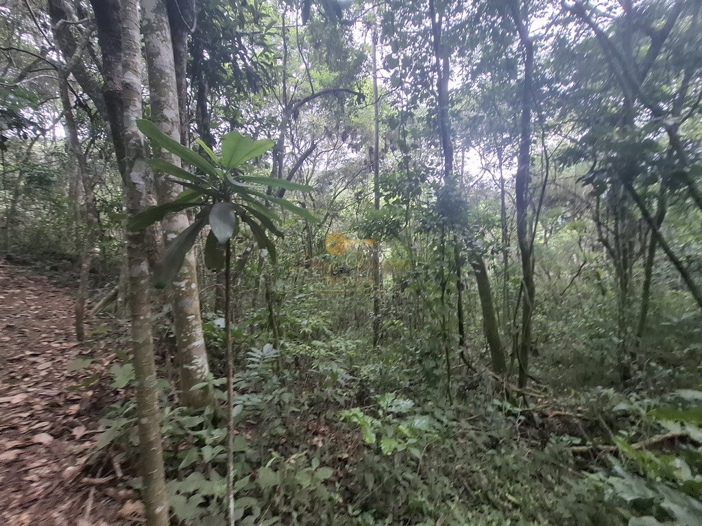 Terreno à venda, 216036m² - Foto 12