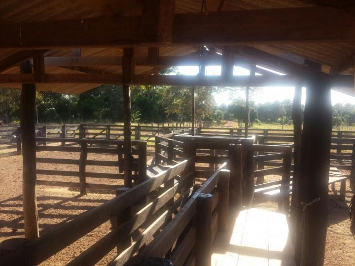Fazenda à venda com 3 quartos - Foto 18