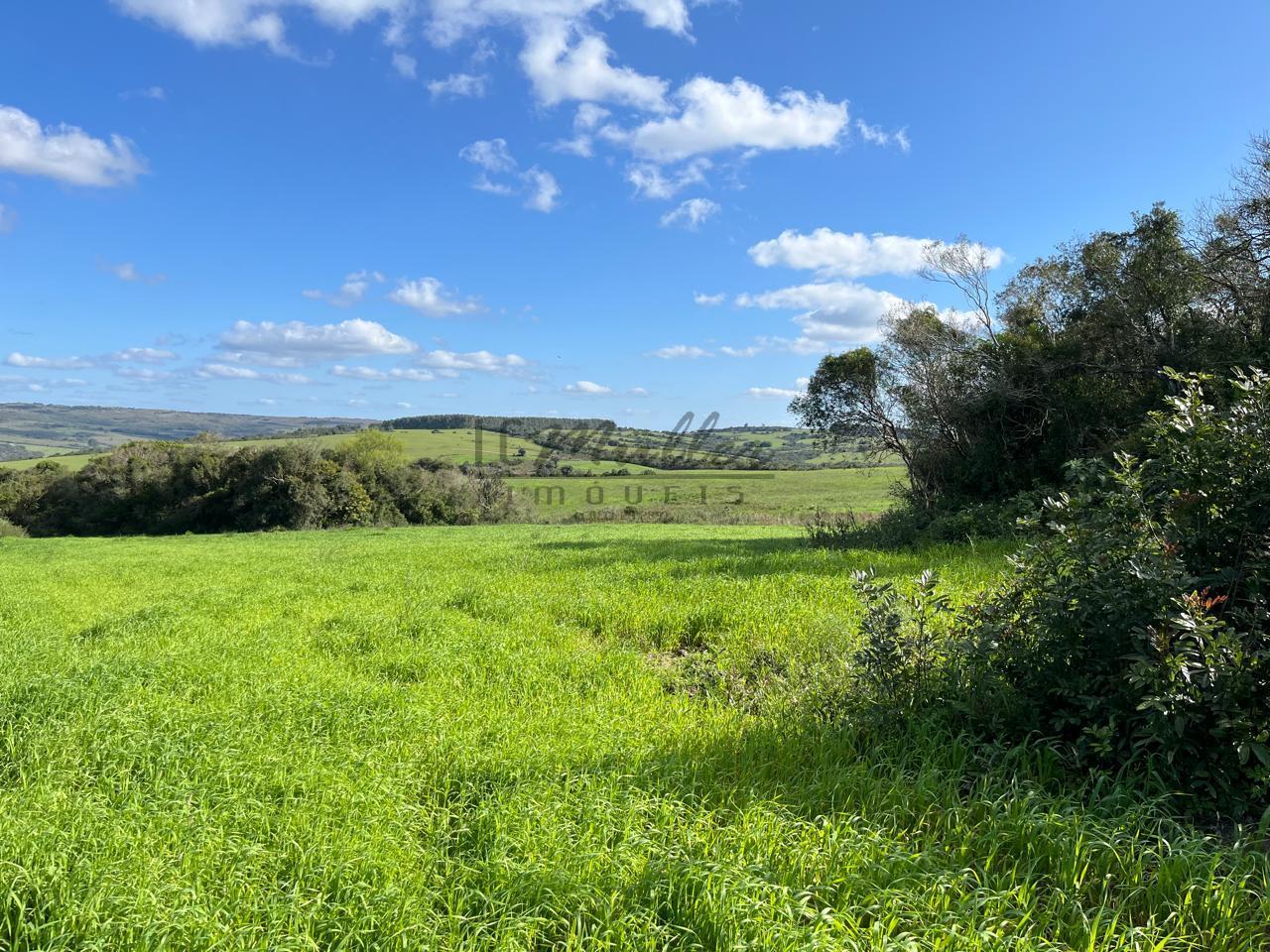 Fazenda à venda, 900m² - Foto 3