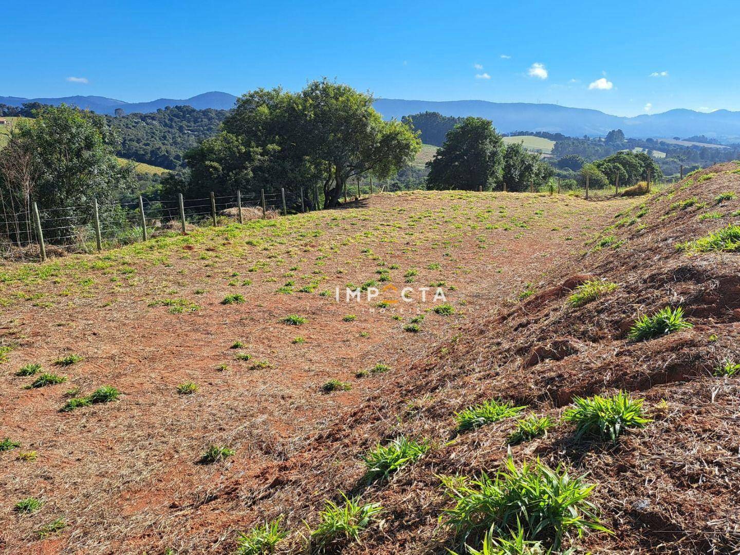 Terreno à venda, 2000M2 - Foto 6