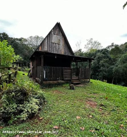 Fazenda à venda, 33000m² - Foto 6