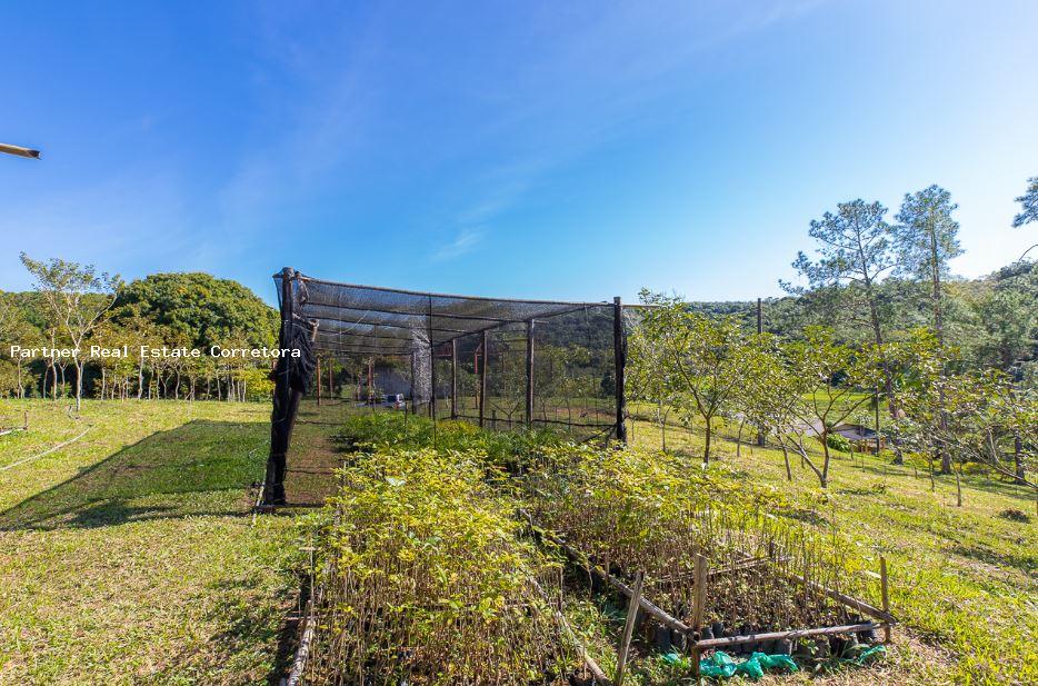 Fazenda à venda com 1 quarto, 2750000m² - Foto 16