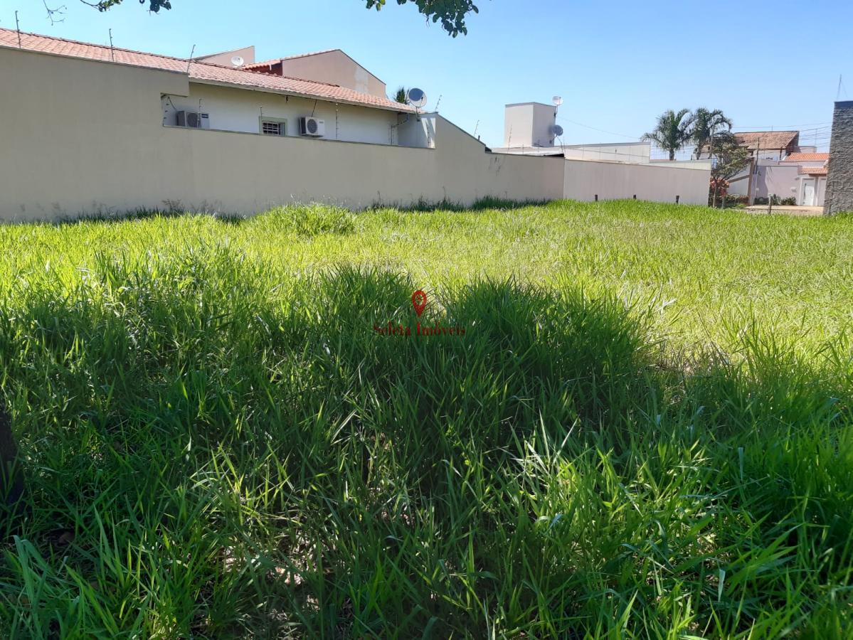 Terreno à venda, 250m² - Foto 4