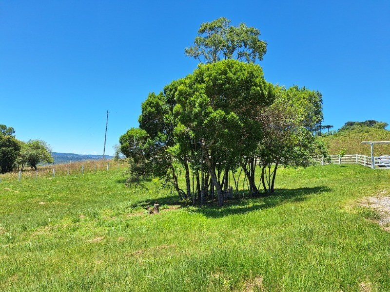 Sítio, 2 hectares - Foto 2