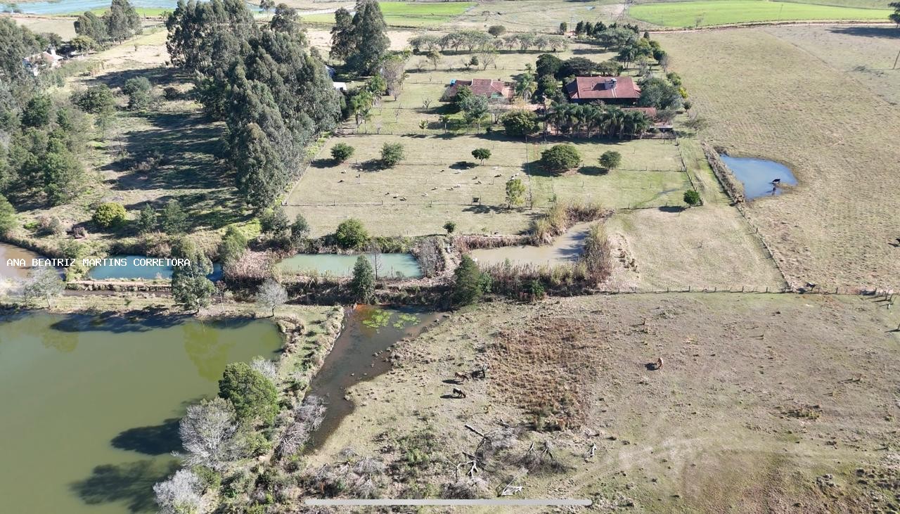Sítio à venda com 2 quartos, 30000m² - Foto 14