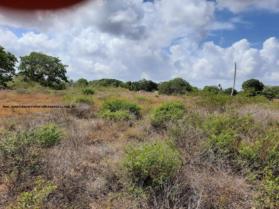 Fazenda à venda com 2 quartos, 14m² - Foto 8