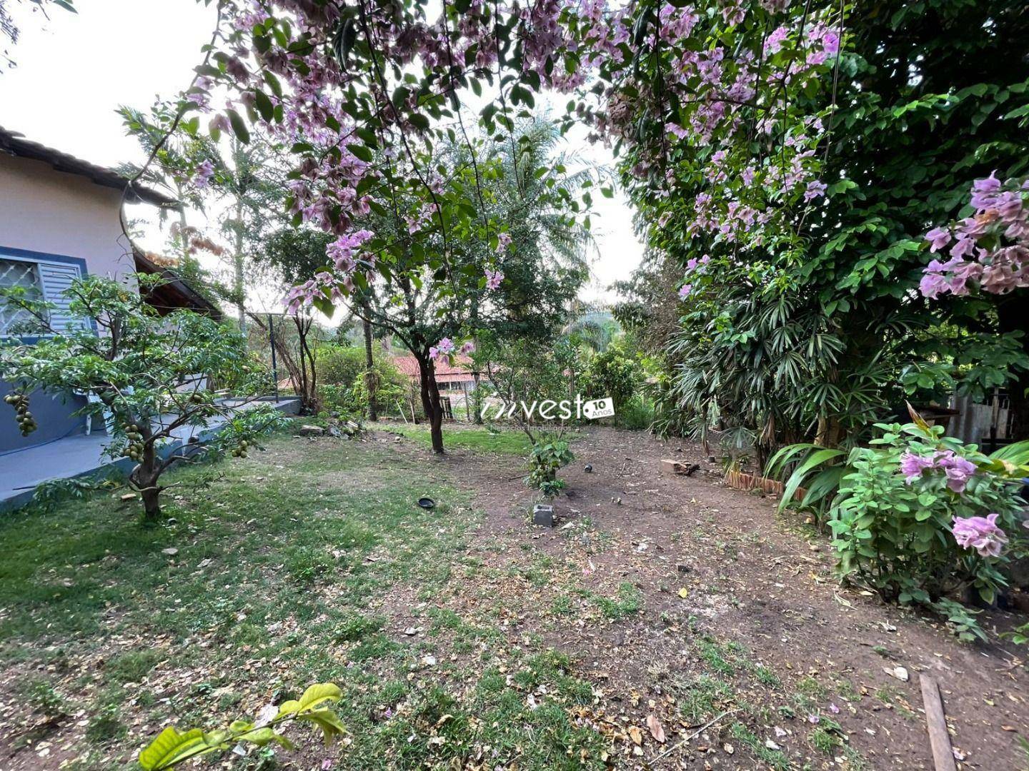 Chácara, 3 quartos, 4850 m² - Foto 3