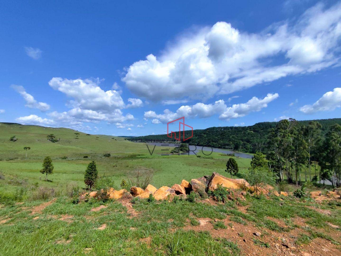 Sítio, 2 hectares - Foto 4