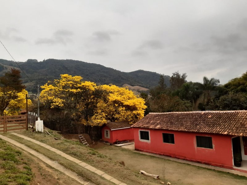 Fazenda à venda com 4 quartos, 100m² - Foto 8