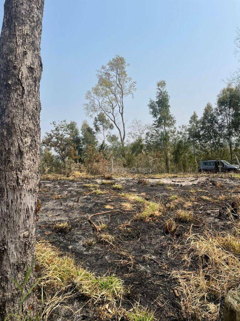 Terreno à venda, 1000M2 - Foto 3