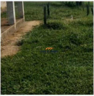 Fazenda, 315 hectares - Foto 5