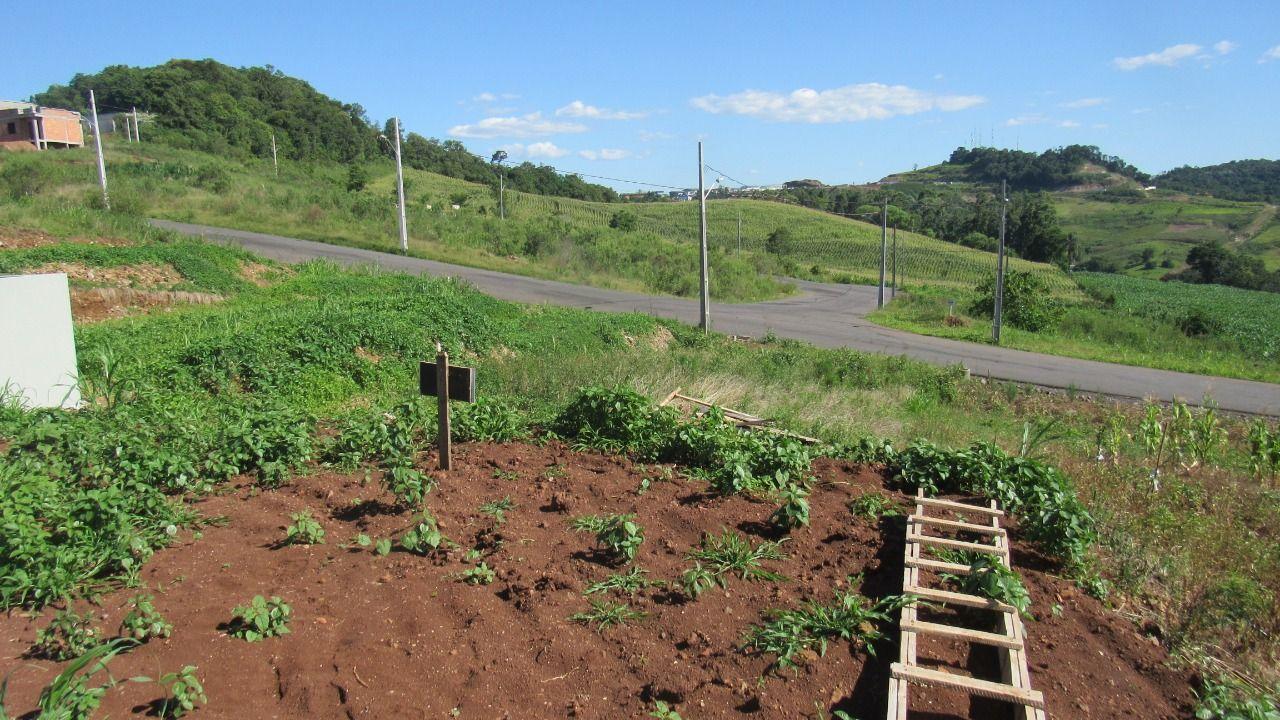 Terreno à venda, 600m² - Foto 4