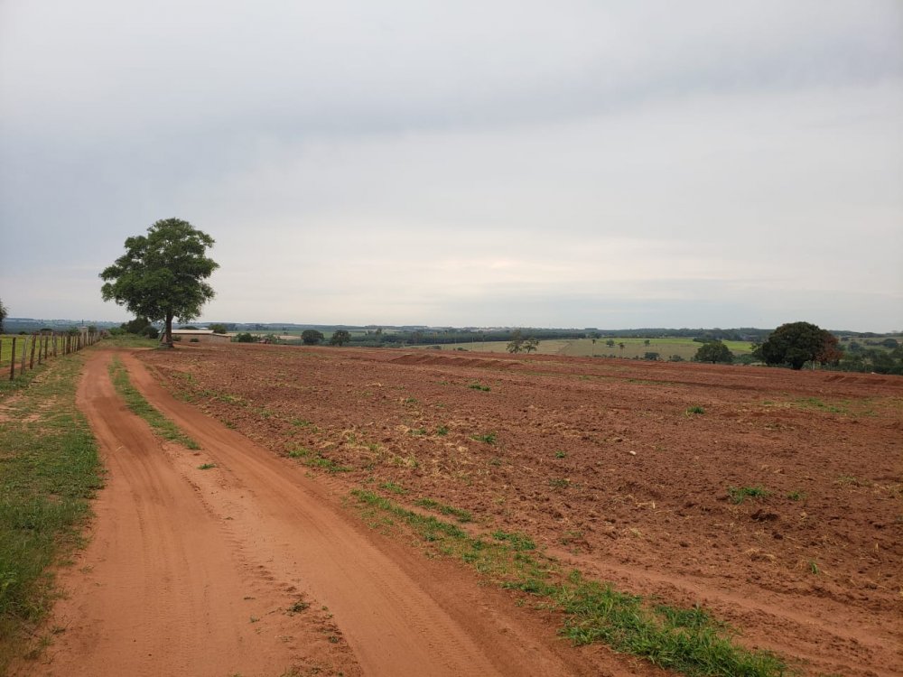 Fazenda-Sítio-Chácara, 53 hectares - Foto 5