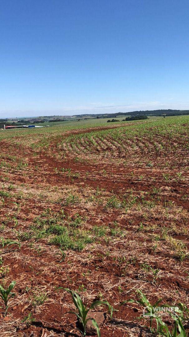 Terreno à venda, 1210000000M2 - Foto 1