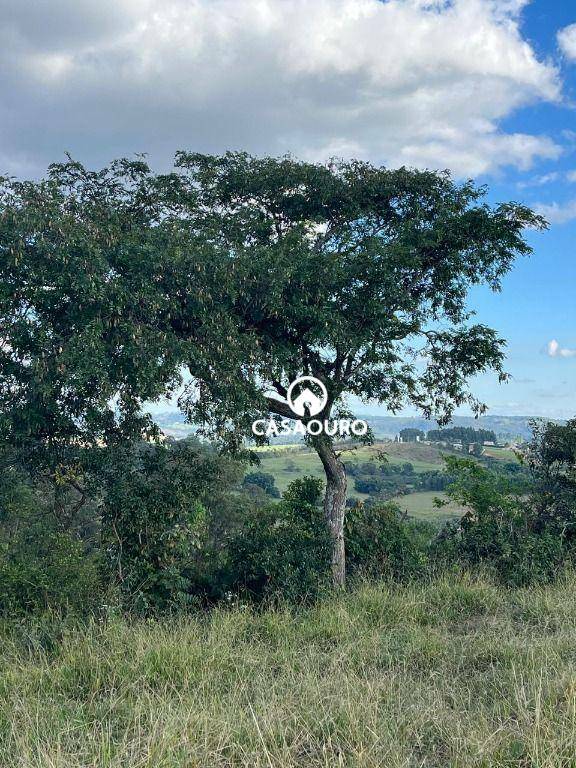 Terreno à venda, 30000M2 - Foto 7