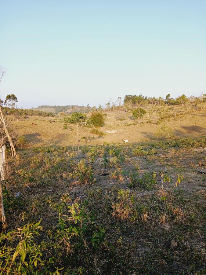 Fazenda à venda com 2 quartos, 146000m² - Foto 20