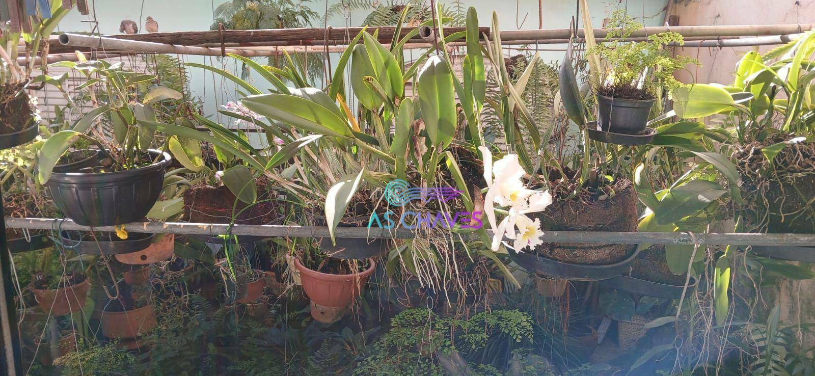 Casa, 4 quartos, 234 m² - Foto 26