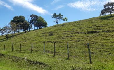 Fazenda à venda com 2 quartos, 145000m² - Foto 15