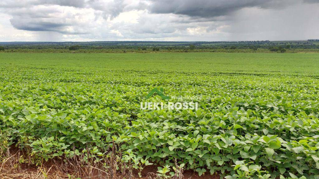 Fazenda à venda, 13840000M2 - Foto 8