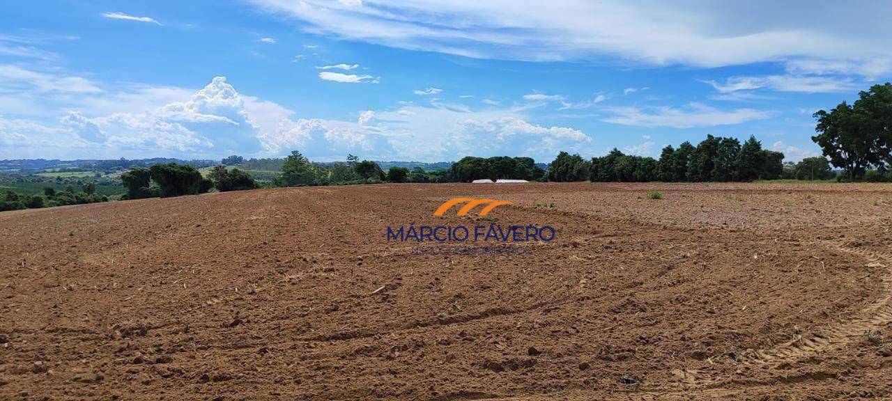 Fazenda, 136 hectares - Foto 3