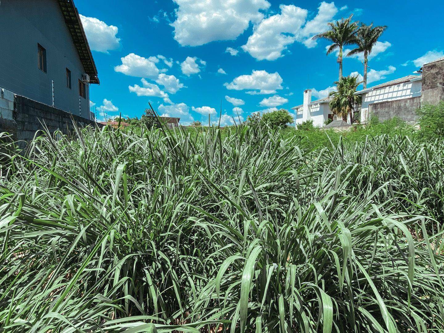 Loteamento e Condomínio à venda, 1302M2 - Foto 5