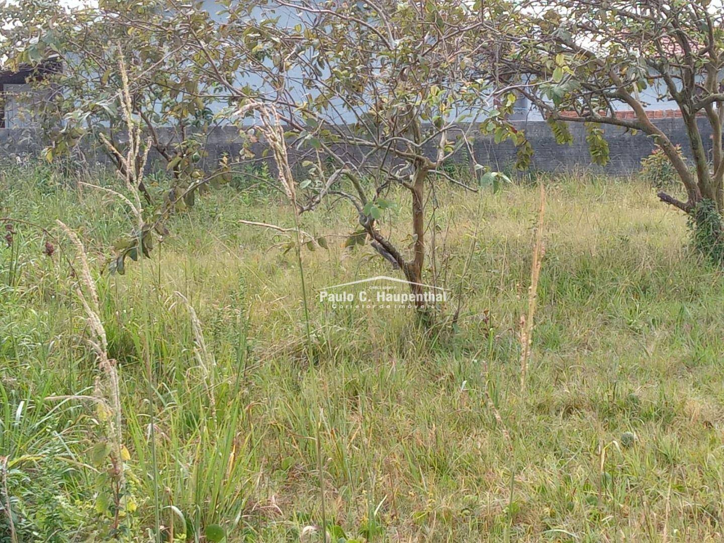 Terreno, 600 m² - Foto 3