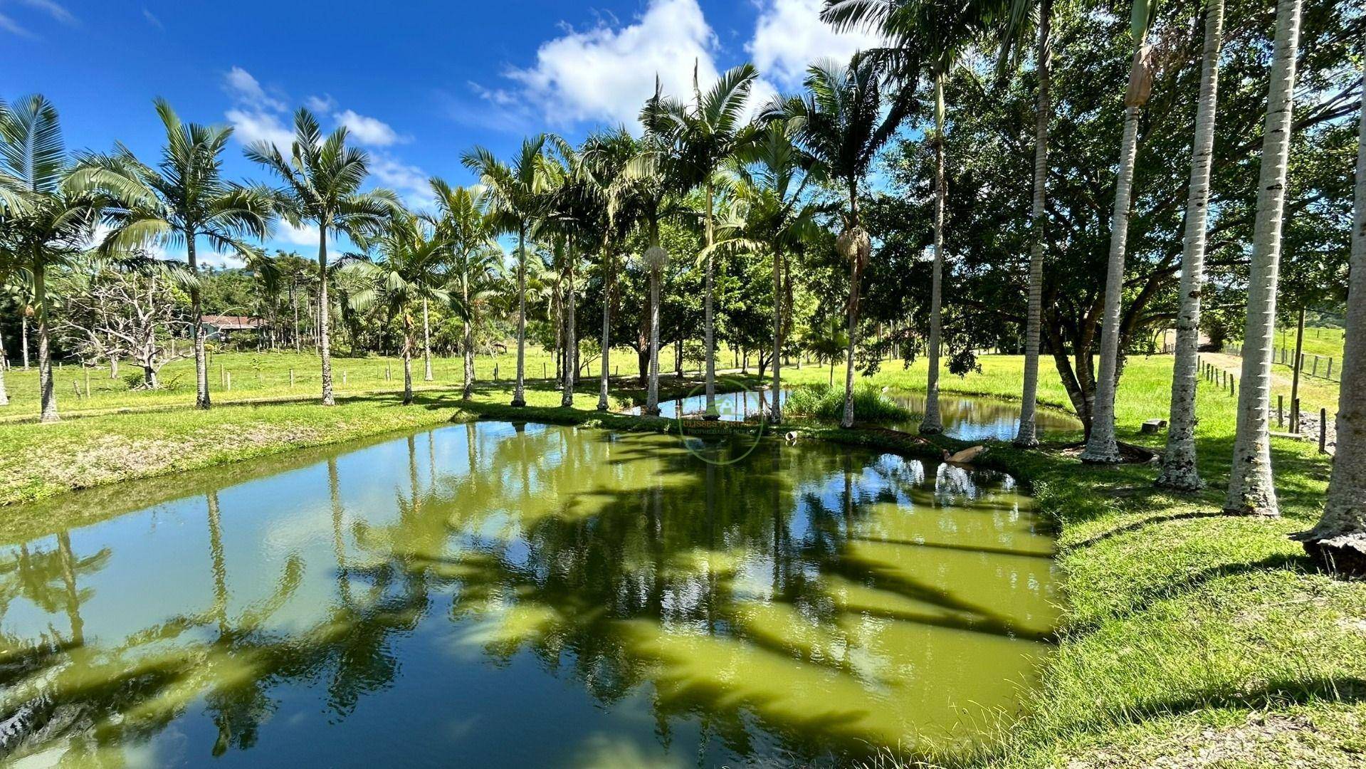 Chácara, 2 hectares - Foto 80