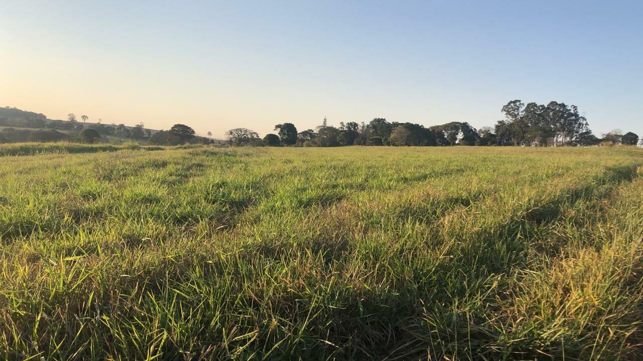 Loteamento e Condomínio à venda - Foto 5