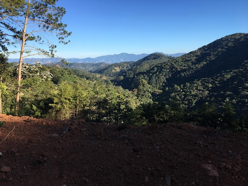 Terreno à venda, 1767M2 - Foto 4