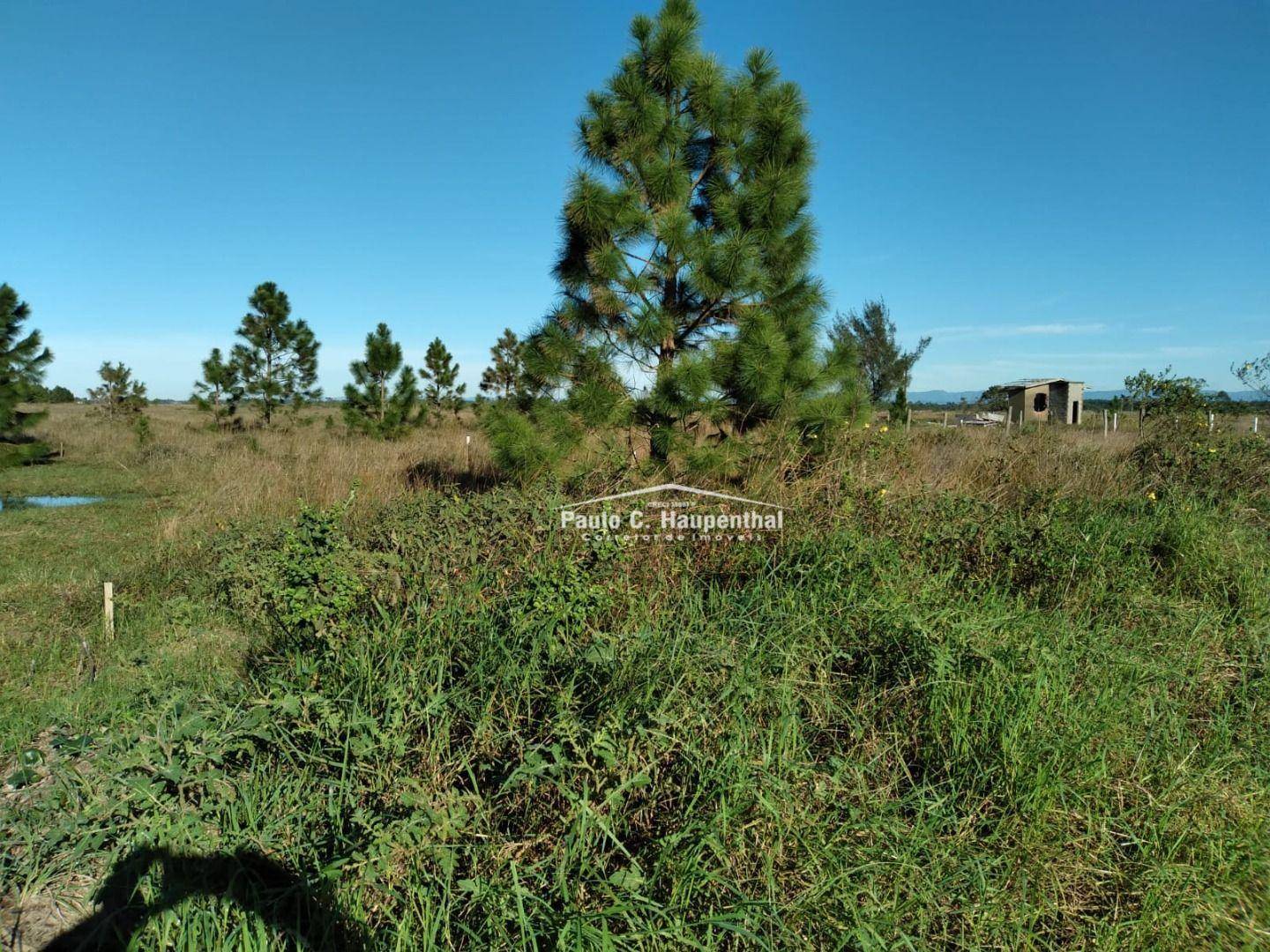 Terreno, 300 m² - Foto 3