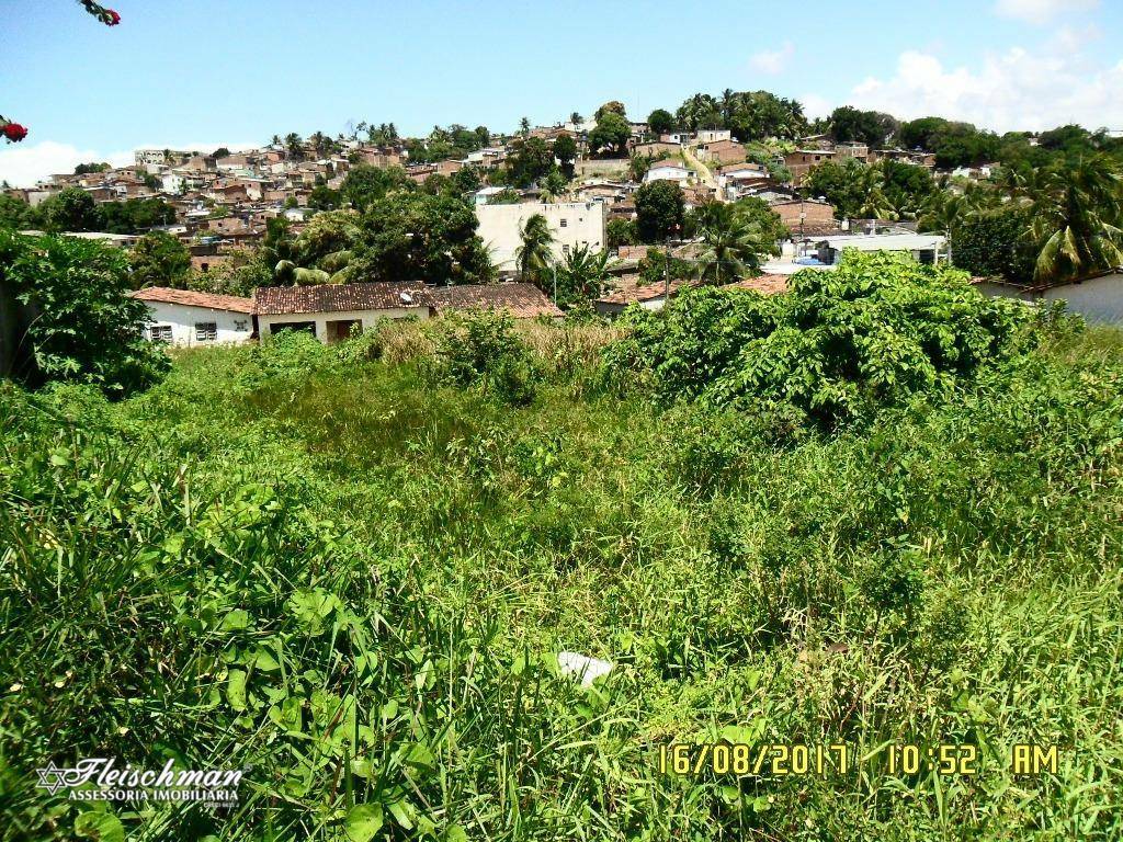 Terreno à venda, 6600M2 - Foto 16